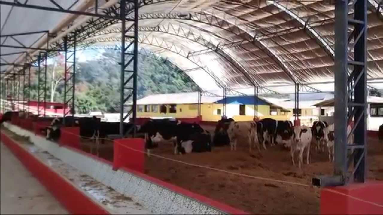 CVN - CONSTRUÇÃO DE GALPÃO COMPOST BARN