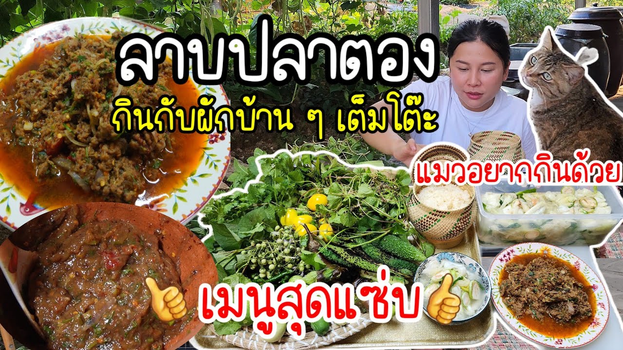 EP.790 ลาบปลาตองกราย กินกับบักเข้งขม ผักหนอก บักเขือ ผักหลายอย่างเต็มโต๊ะ พร้อมส้มผัก สุดยอดเมนูนี้