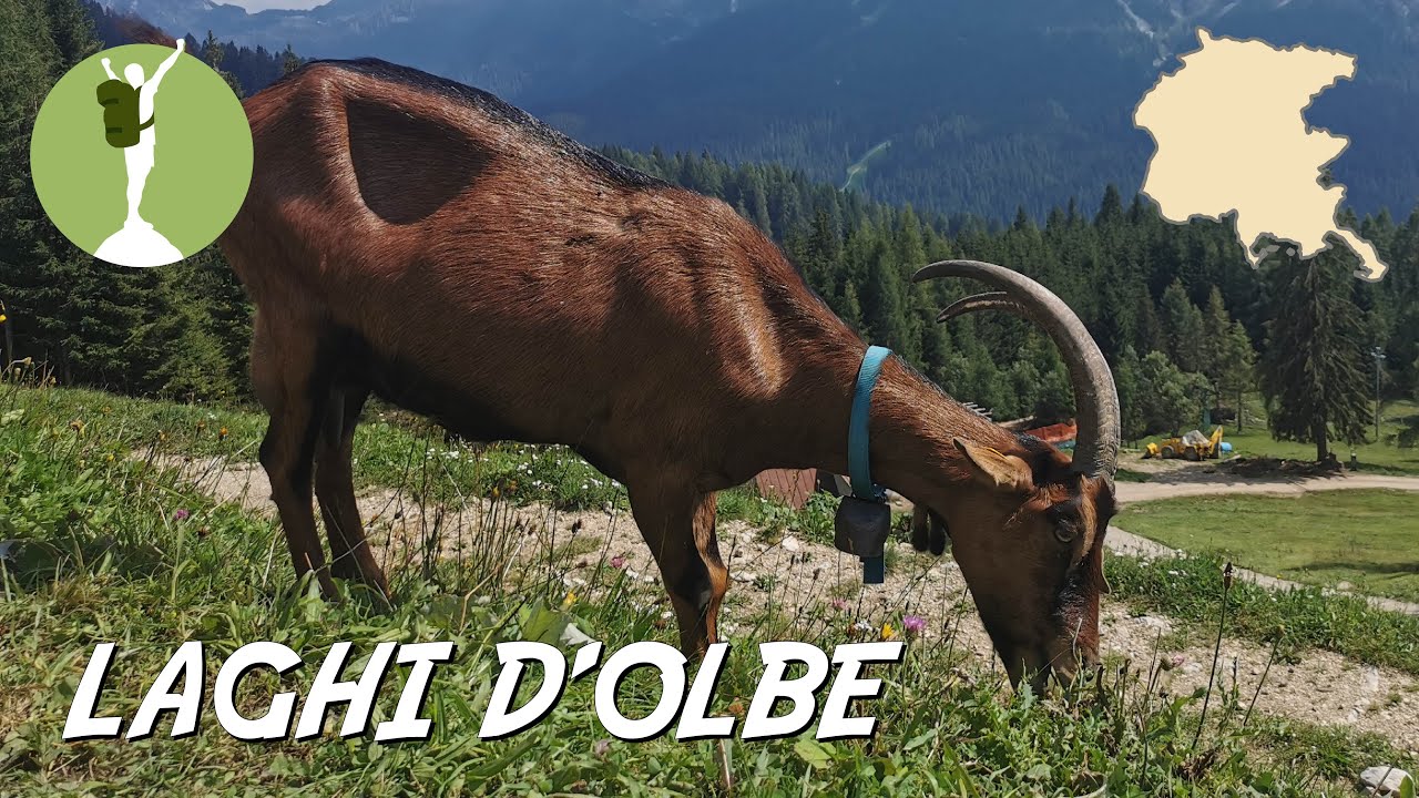 La mia prima vera escursione nel Friuli Venezia Giulia: i Laghi d'Olbe da Sappada