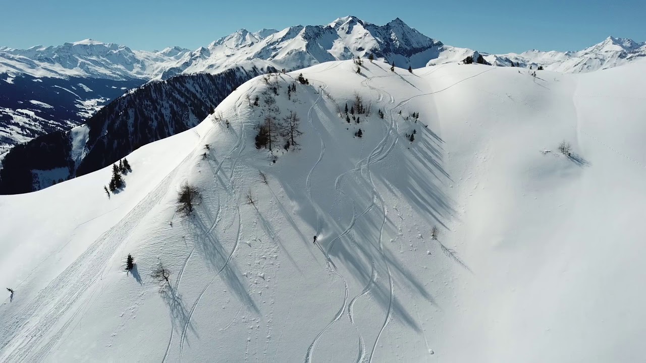 RAURIS