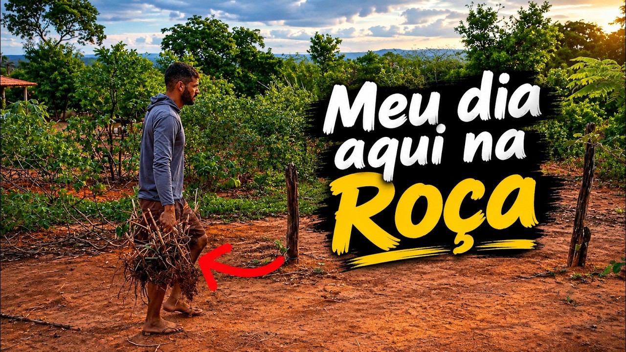 Meu Dia Cuidando Da Roça - Plantando E Cuidando Dos Animais