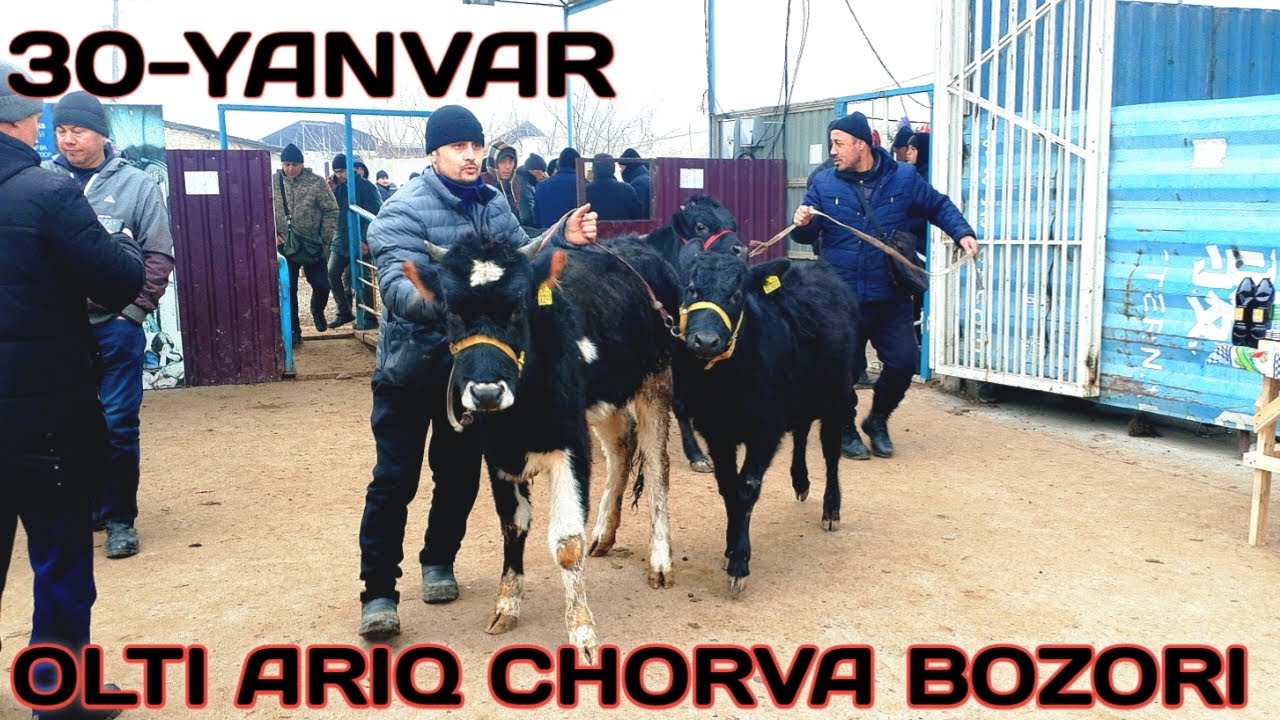 RYAL SOTILGAN VA QAYTGAN NARXLARI OLTIARIQ CHORVA BOZORIDAN