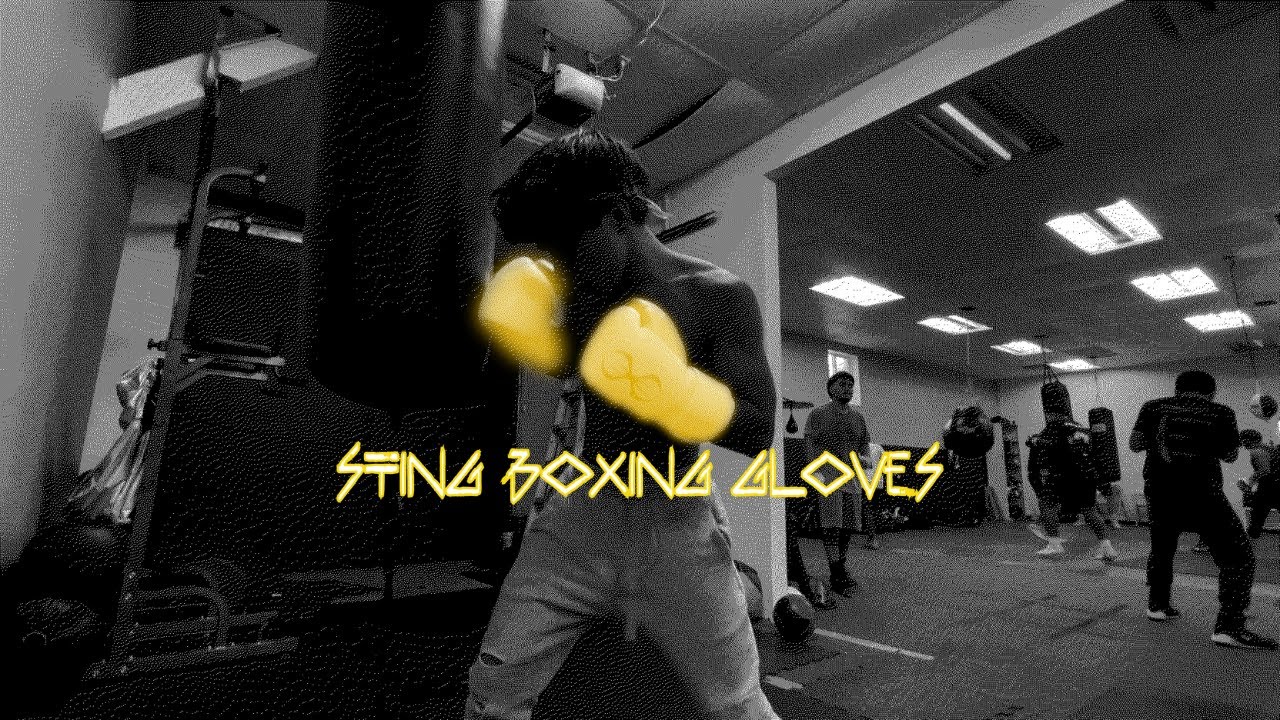 I BOUGHT STING EVOLUTION Boxing Gloves.. bc why not.