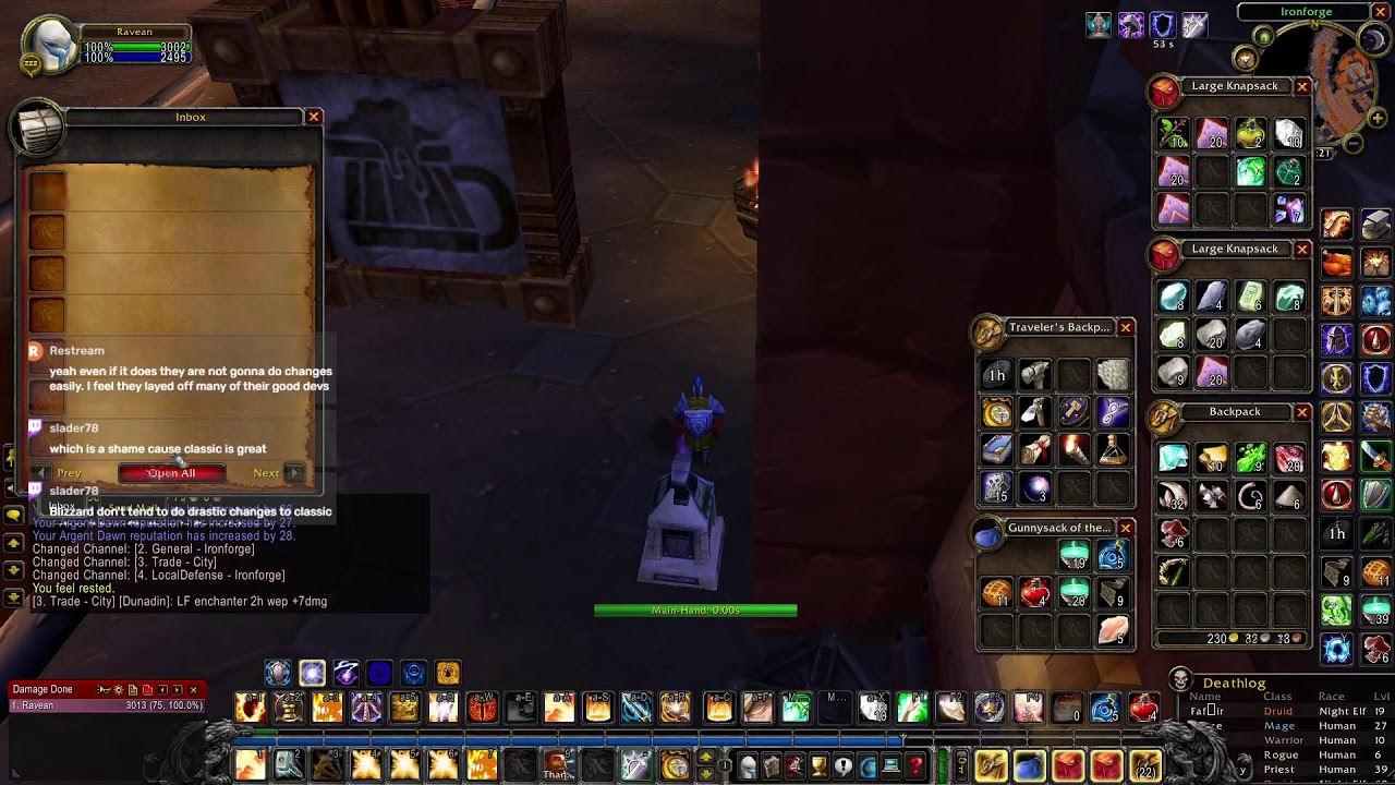 Hardcore classic paladin tank.