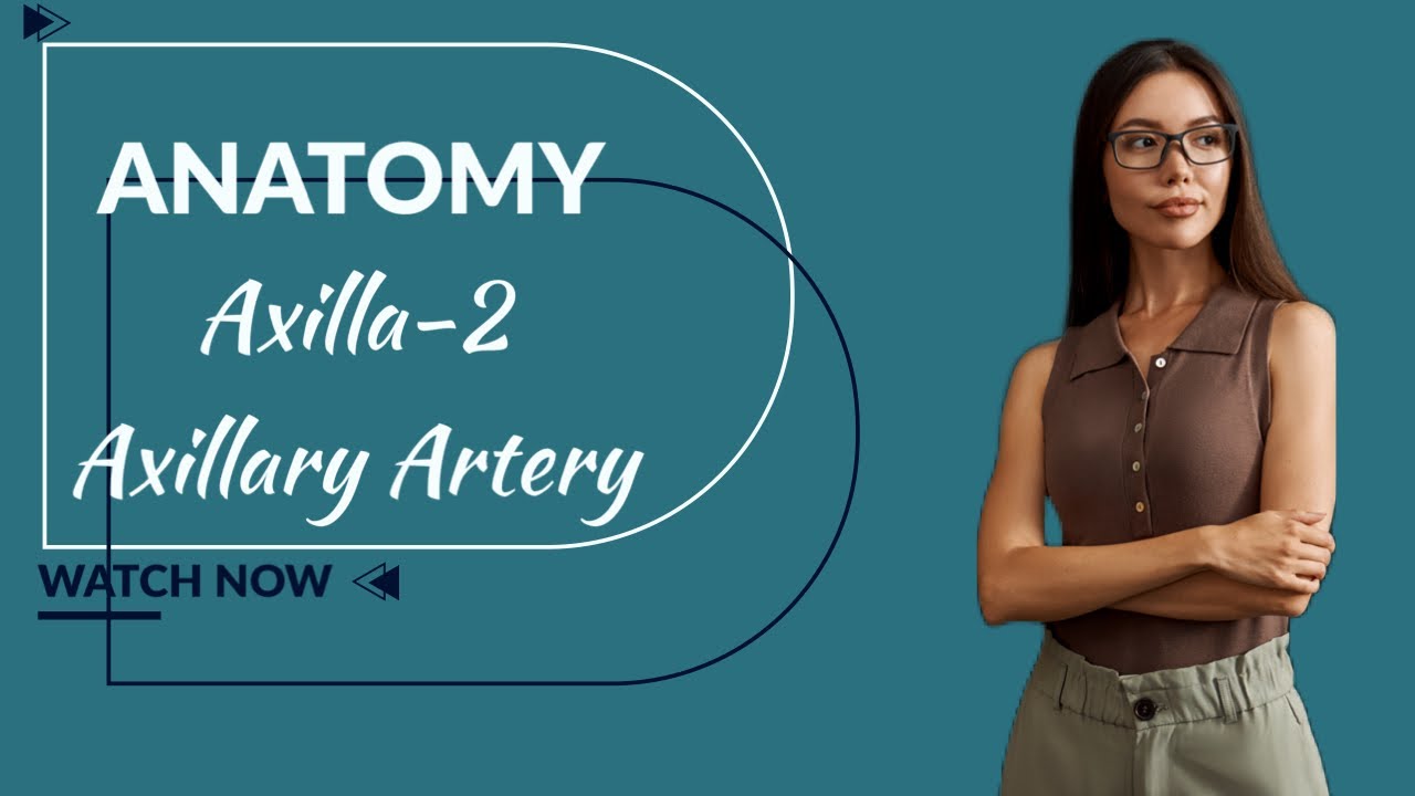 Anatomy Simplified: Axillary Artery Explained (Axilla Series Pt 2)
