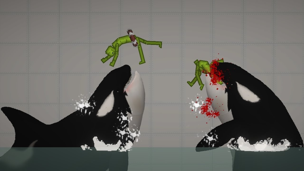 Orca killer whale mod for melon sandbox