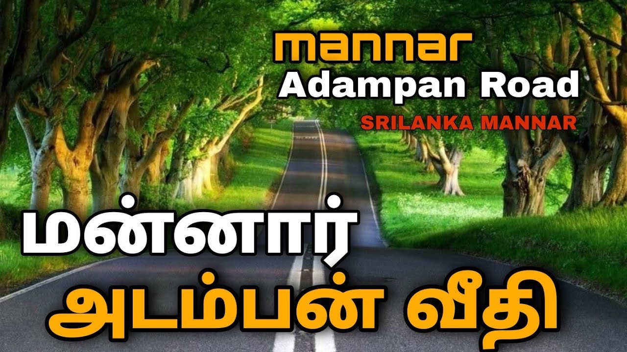 #mannar srilanka#mannar town #mannar vlog mannar adampan road | மன்னார் அடன்பன் வீதி