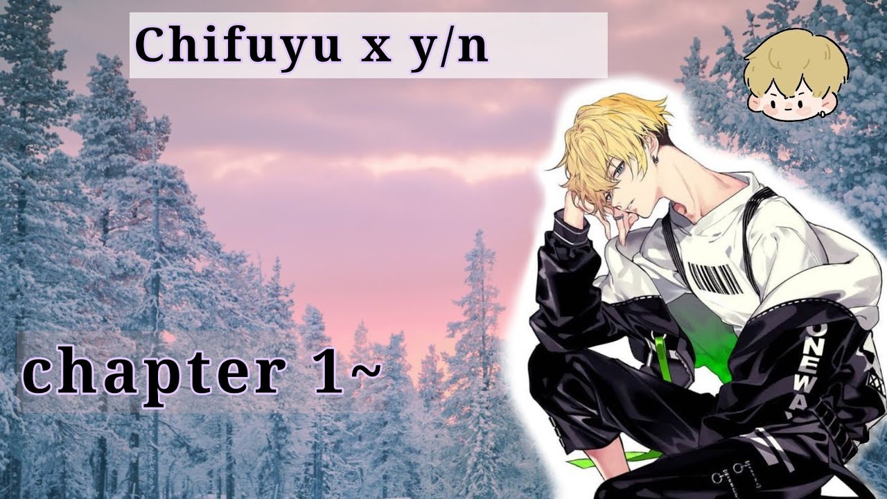 Chifuyu x y/n || part 1 || Tokyo revengers x y/n.