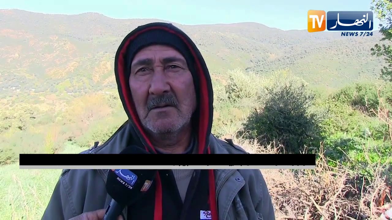 جيجل: سكان قرية الشرفة الجبلية يستخدمون الدواب لأجل تنقلاتهم