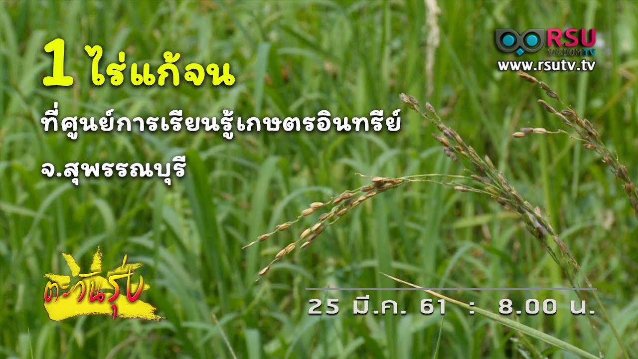 1 ไร่แก้จน ที่ศูนย์การเรียนรู้เกษตรอินทรีย์ จ.สุพรรณบุรี (25-03-61)