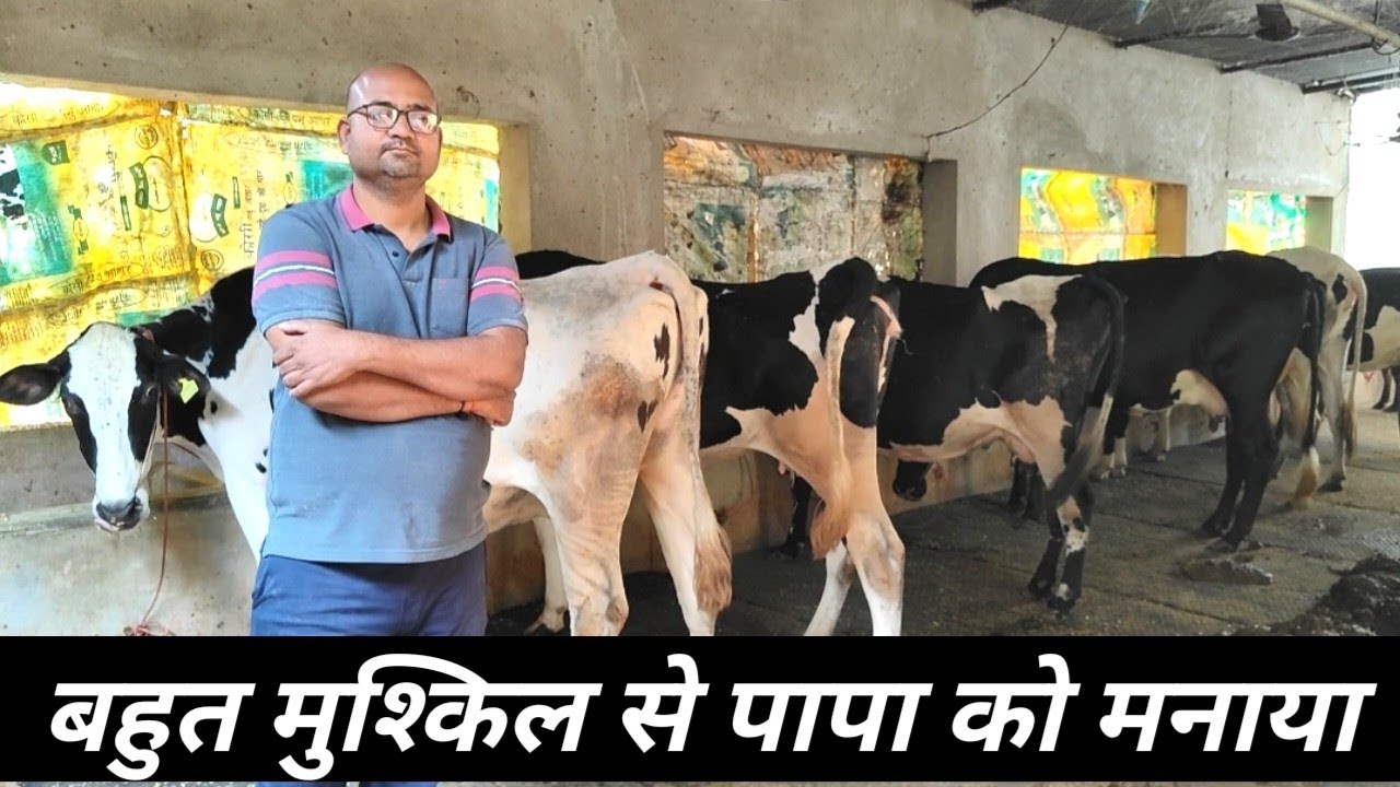3 लाख से ऊपर की नौकरी छोड़ शुरू किया Dairy Farm  | Dairy Farming In India
