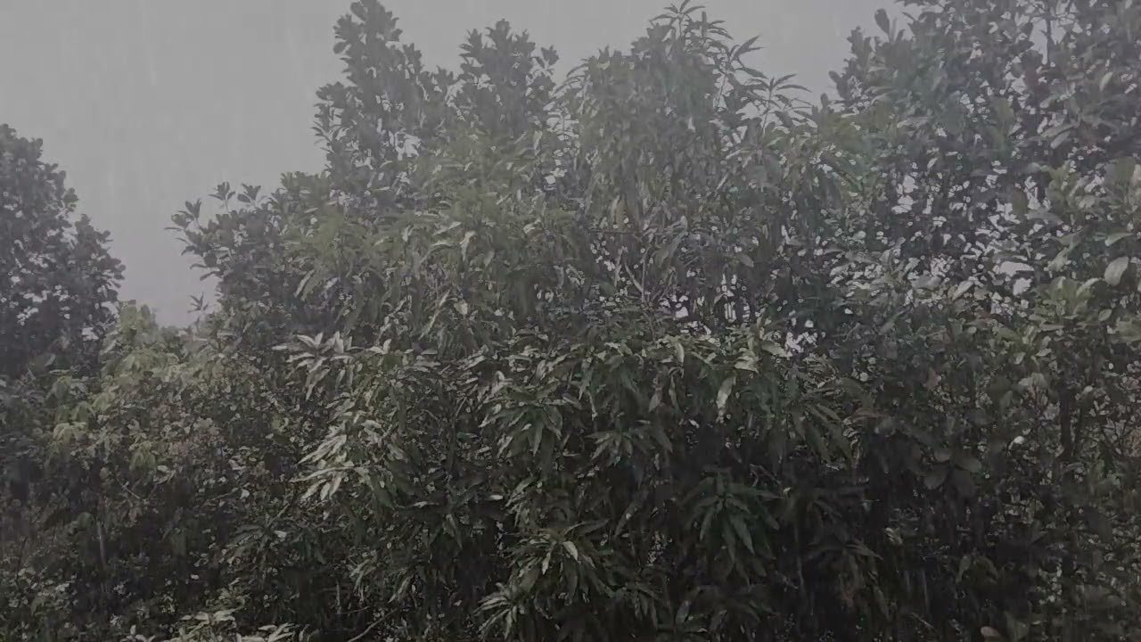 enjoy the sounds of rain and thunder | rain sounds