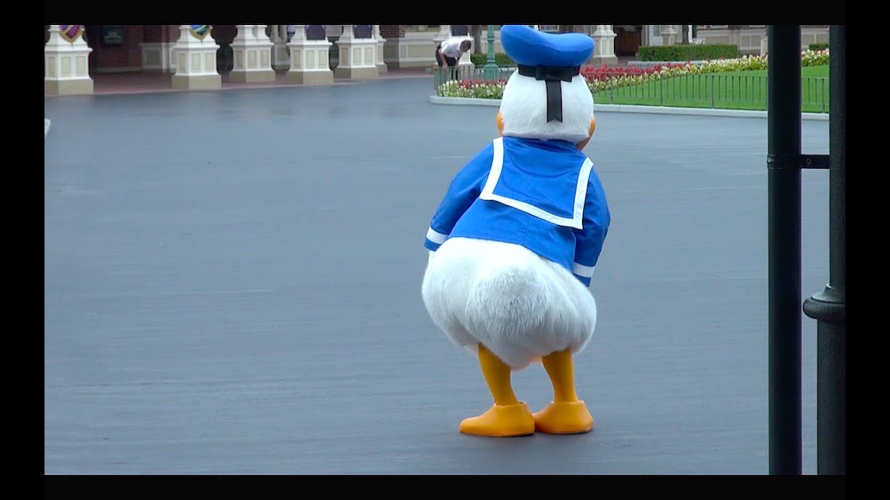 ドナルドのお尻フリフリ（開園前グリーティング TDL）