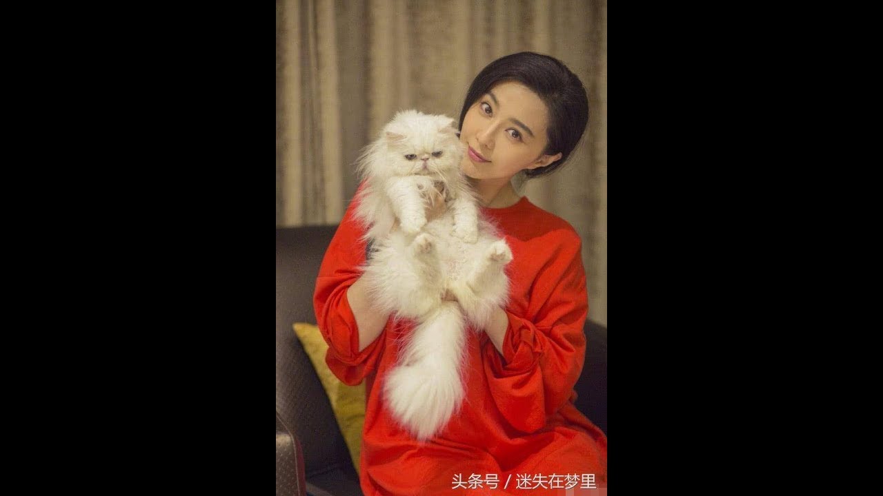 《跑男6》兄弟寵物揭秘，陳赫家堪比動物園，鄧超最靠譜
