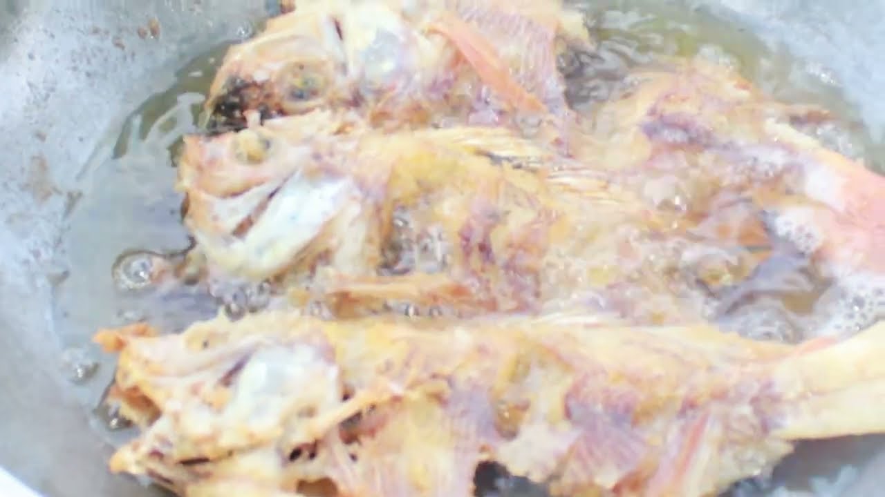 Calm Outdoor Cooking | Yellow Spiced Tilapia Soup