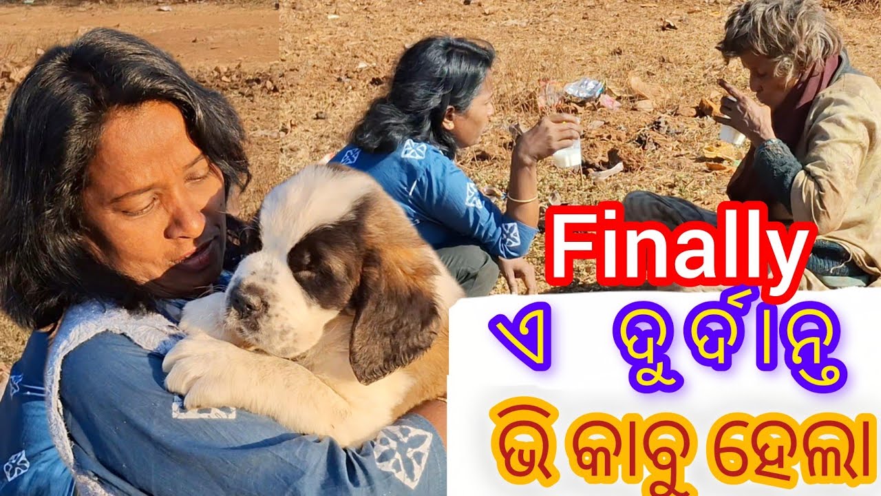 ଜୀବଜନ୍ତୁଙ୍କୁ ଡରେନାହିଁ କିନ୍ତୁ ଡର  ମଣିଷକୁ//sentBarnard puppy in odisha//