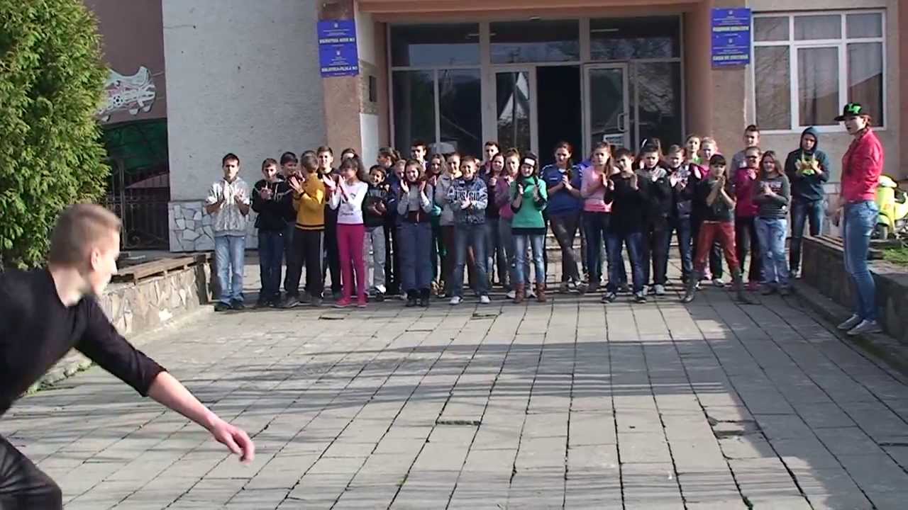 Scoala din Biserica Alba  2013 (Program interactiv)