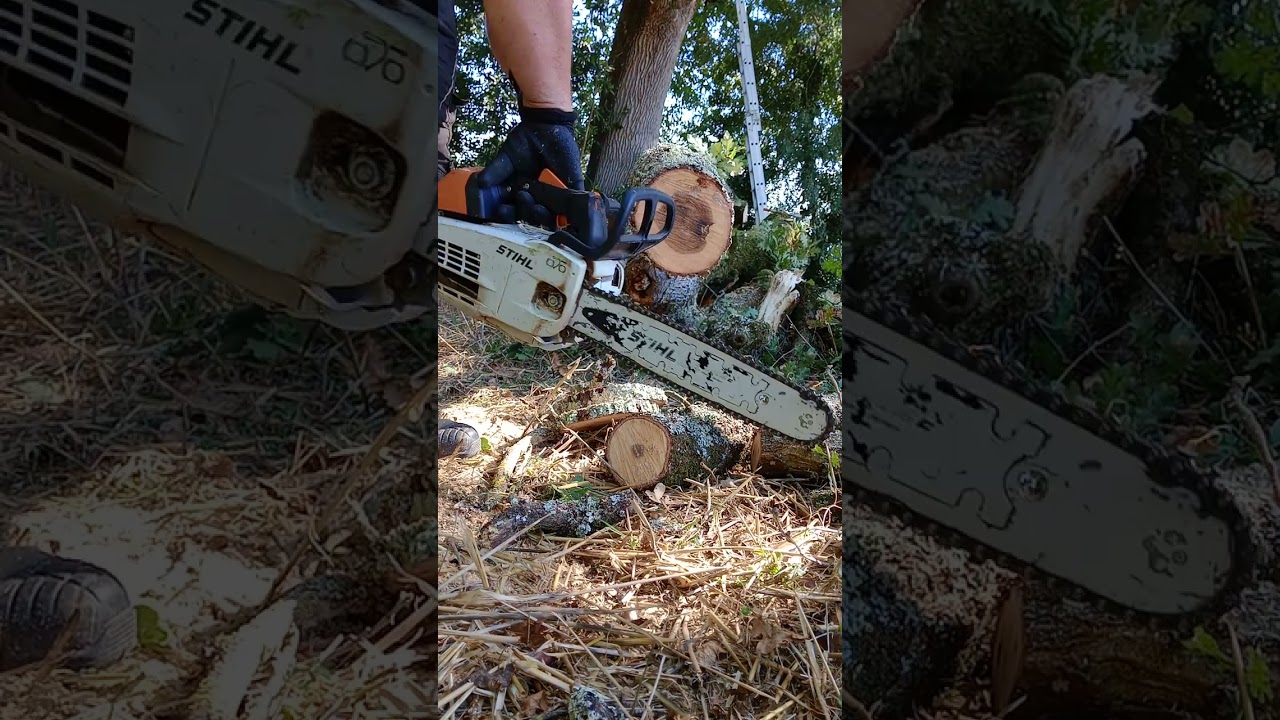 Stihl ms 201 TC vs echo 2511