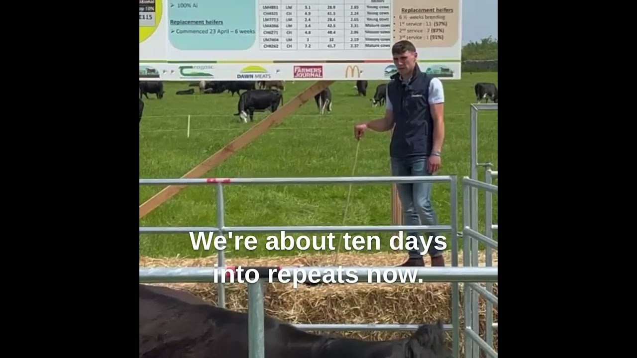100% AI on Newford Farm