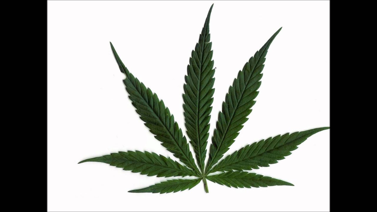 Kush Smokin