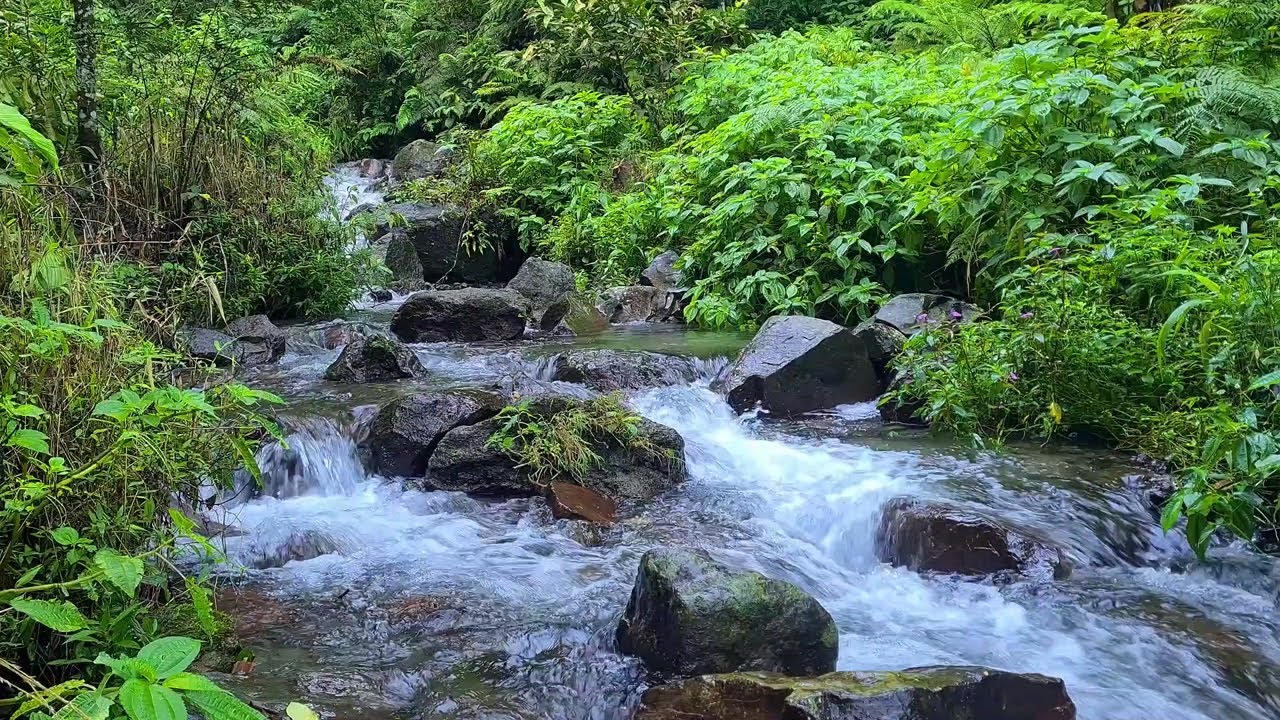 Flowing River Audio | Soothing Nature Sound to Sleep and Breathe Easy