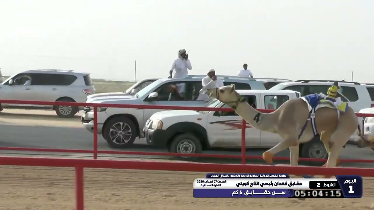 19 الشوط الثاني حقايق قعدان رئيسي انتاج كويتي السبت 07 02 2026