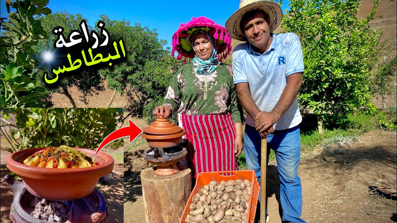 زراعة البطاطس بسهولة فائقة و طبخ الدجاج البلدي للغذاء