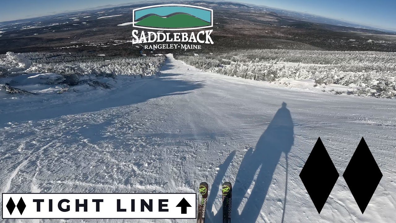 Tight Line - Saddleback