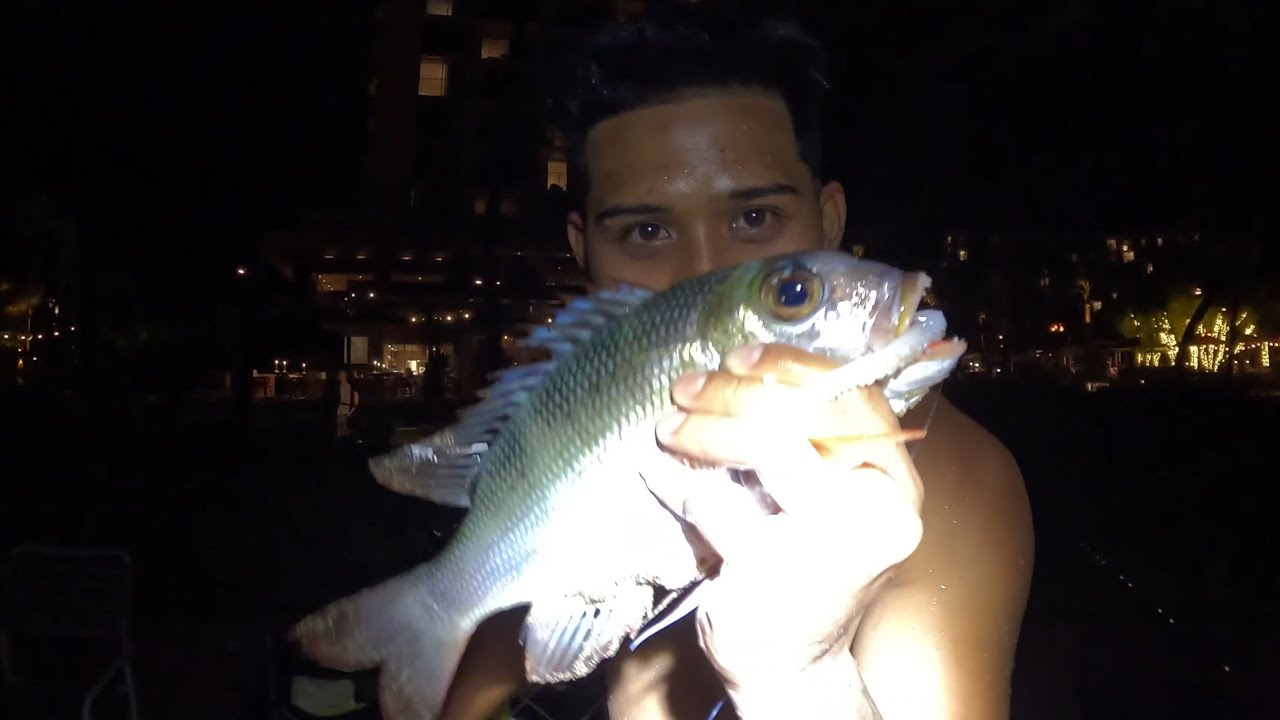 Finally Caught My First Mu !! | Hawaii Fishing