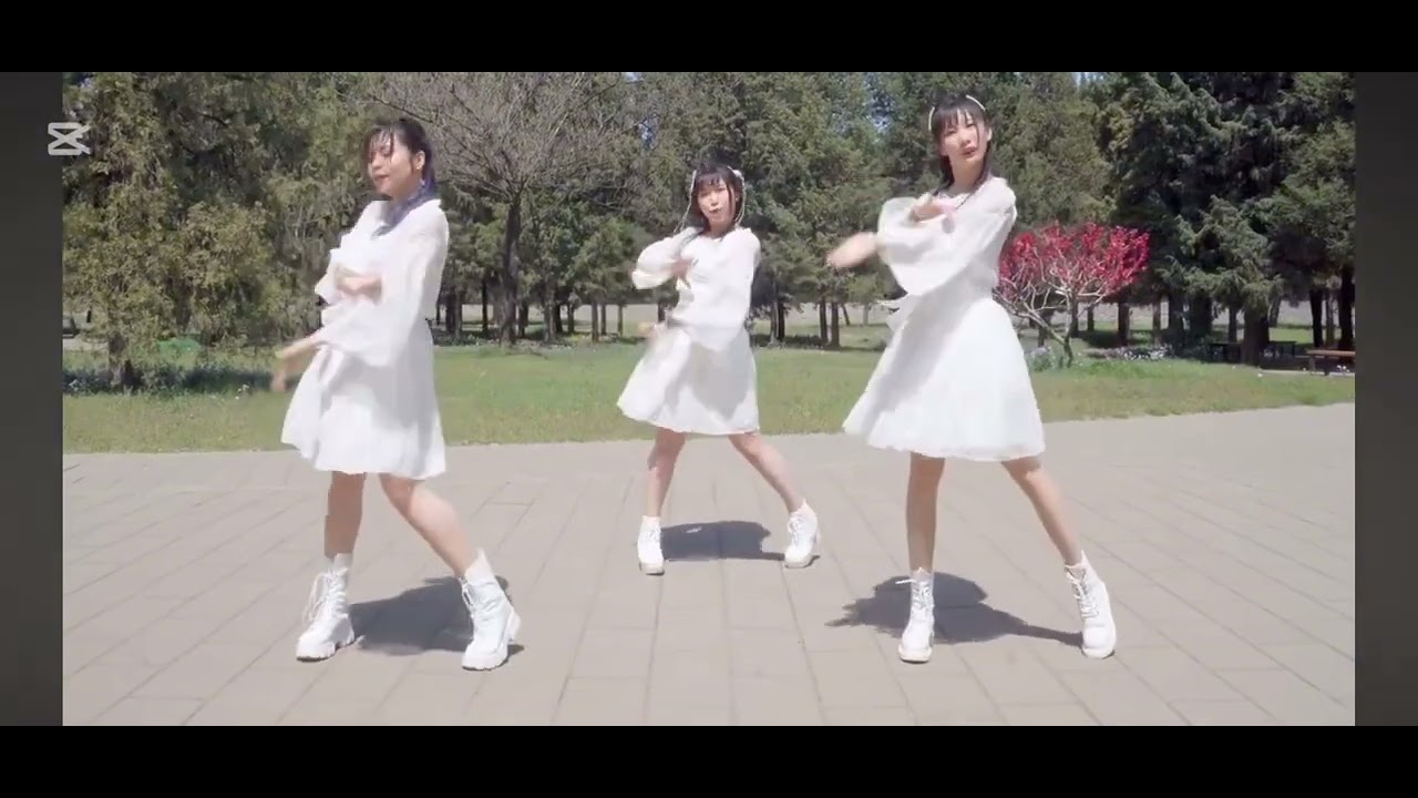 《落花情》镜像版本