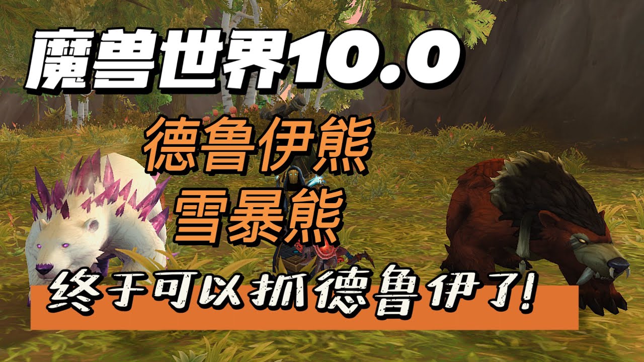 【魔兽世界10.0】猎人福利！终于梦想实现，可以抓德鲁伊！还有雪暴坐骑同模熊，更多隐藏宝宝等待解锁！