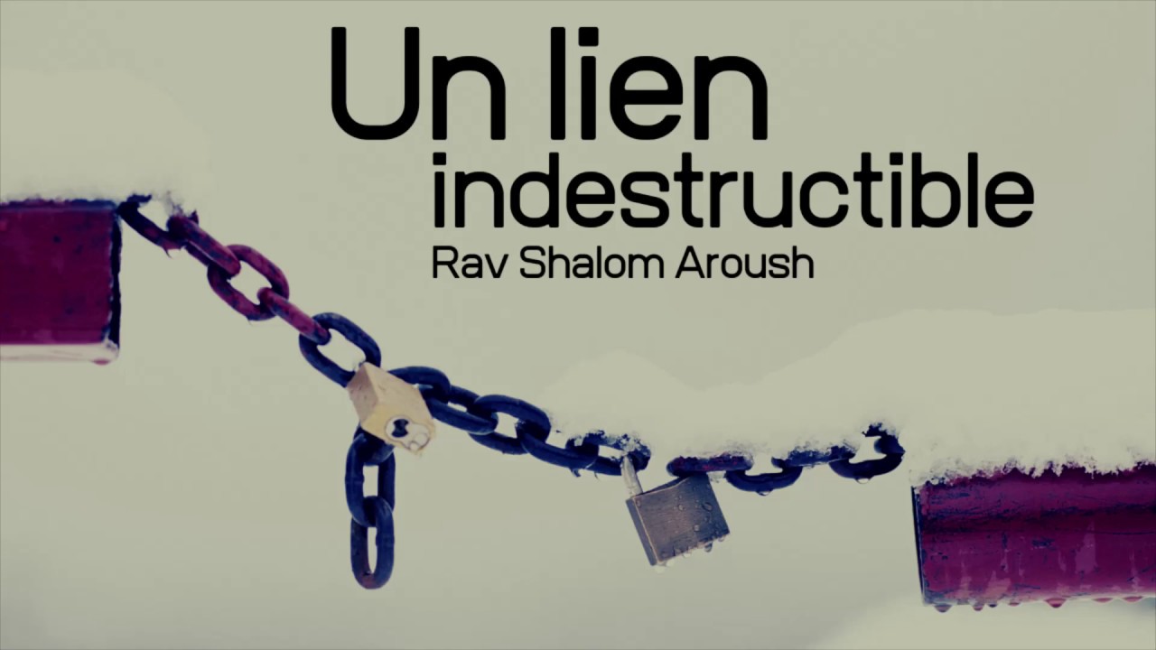 Un lien indestructible