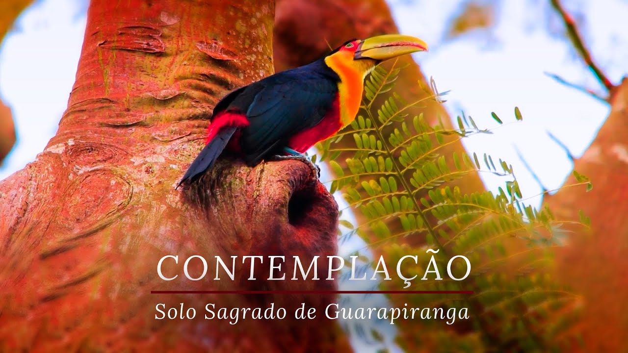 Contemplação | Solo Sagrado de Guarapiranga X