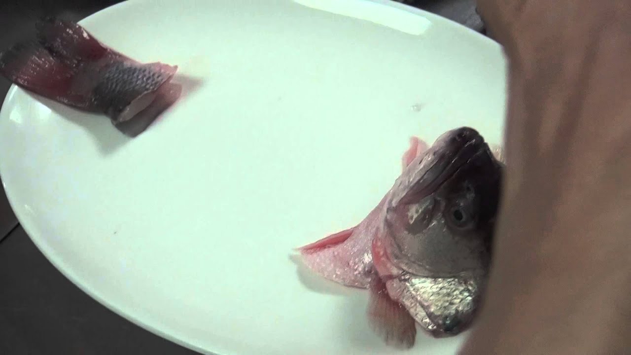 進階刀工5 魚
