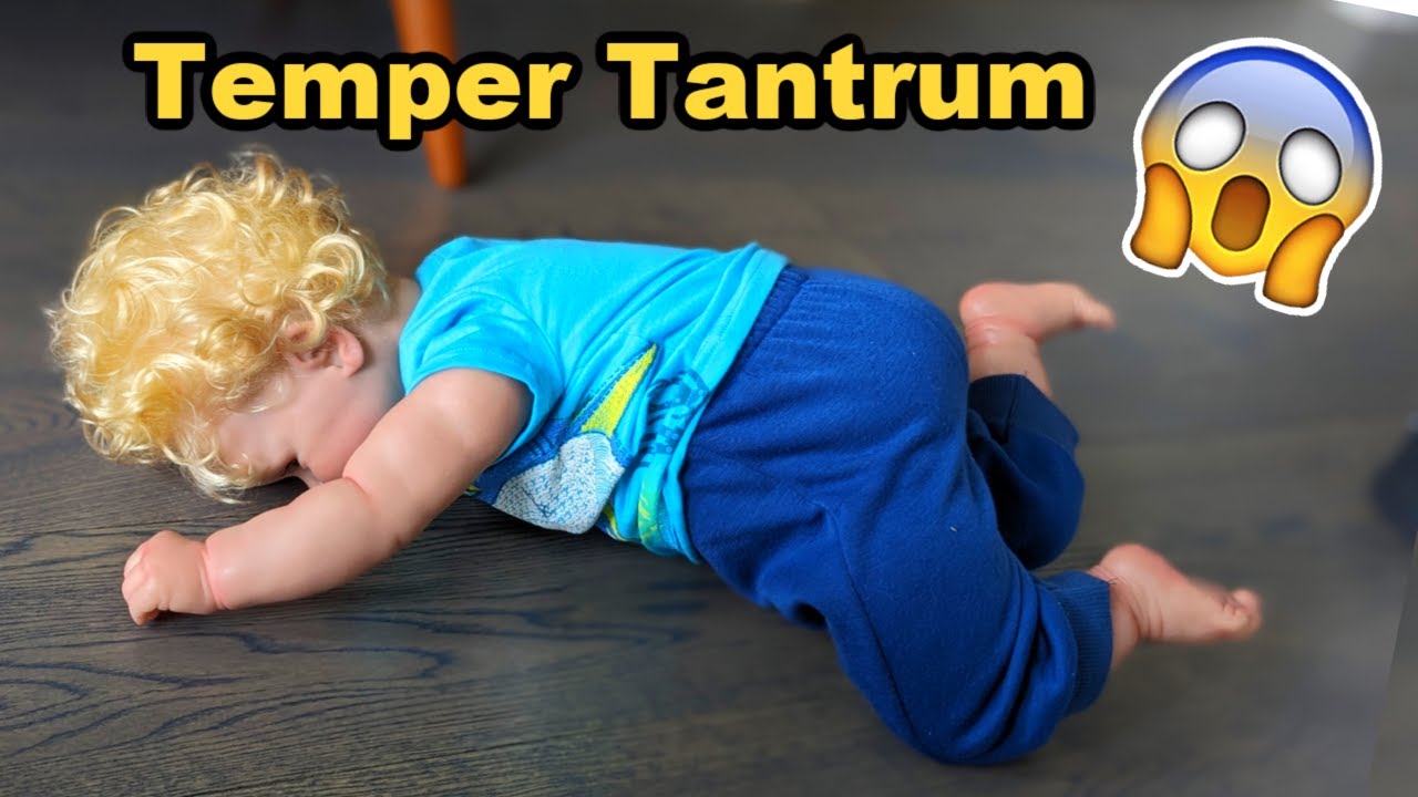 Reborn Baby BOY KICKS AUNTIE And Instantly Regrets It