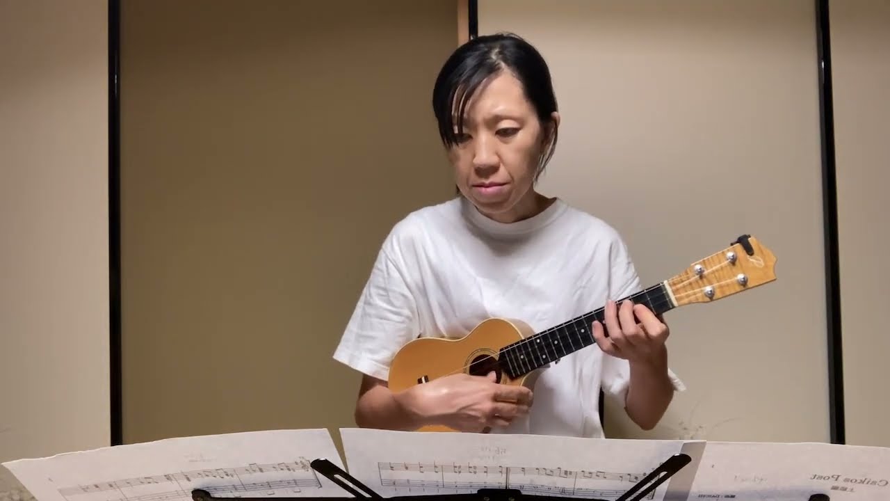 Csikos Post上級編（クシコスポスト上級編）