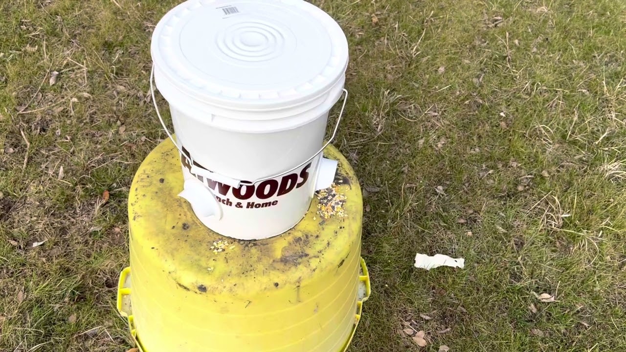 Homemade Wild Turkey Feeder