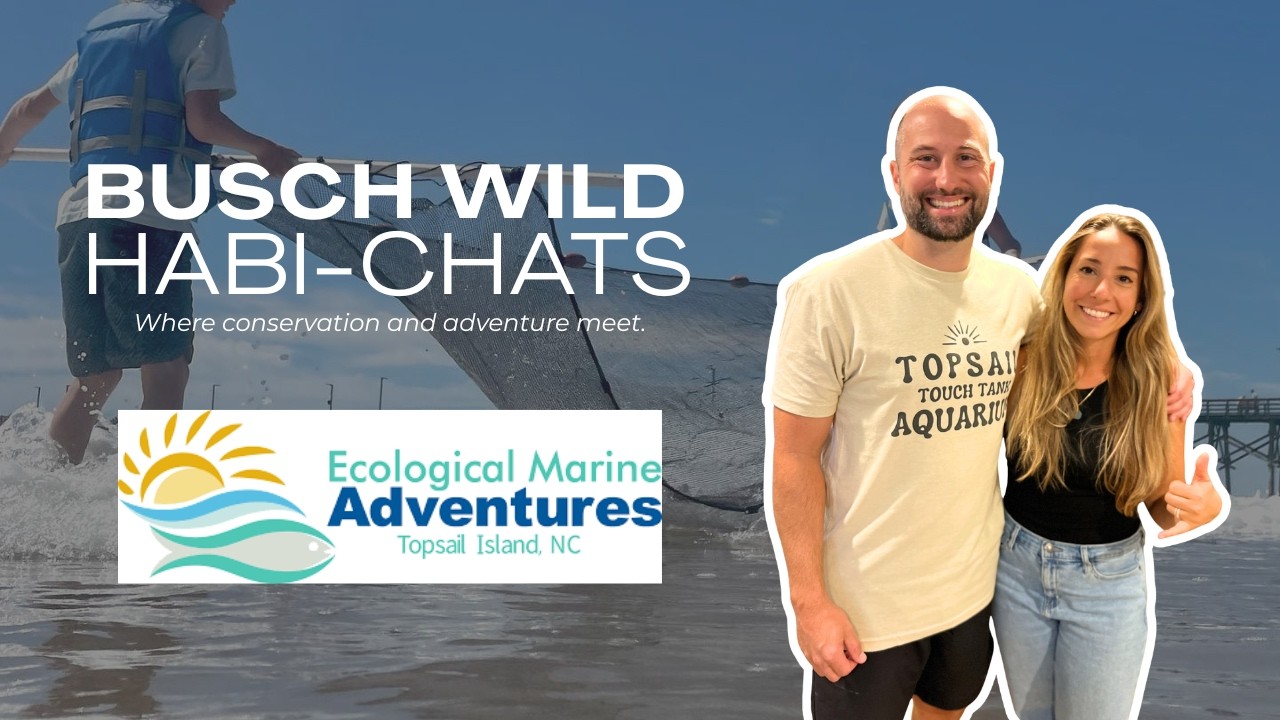 Habi-Chats Episode 3: Ecological Marine Adventures / Surf City, North Carolina