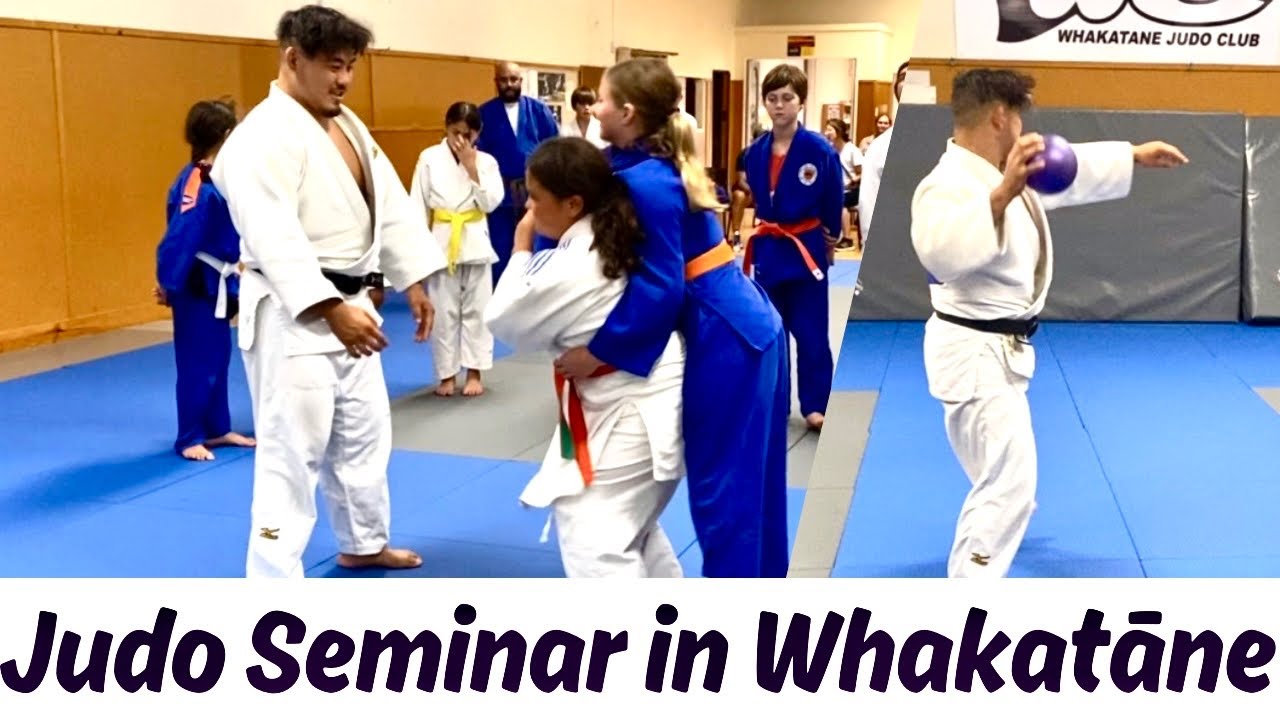 This is my style of judo seminars!