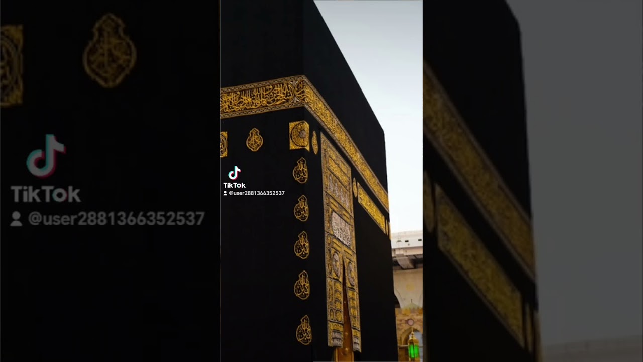 مشاركة(3)