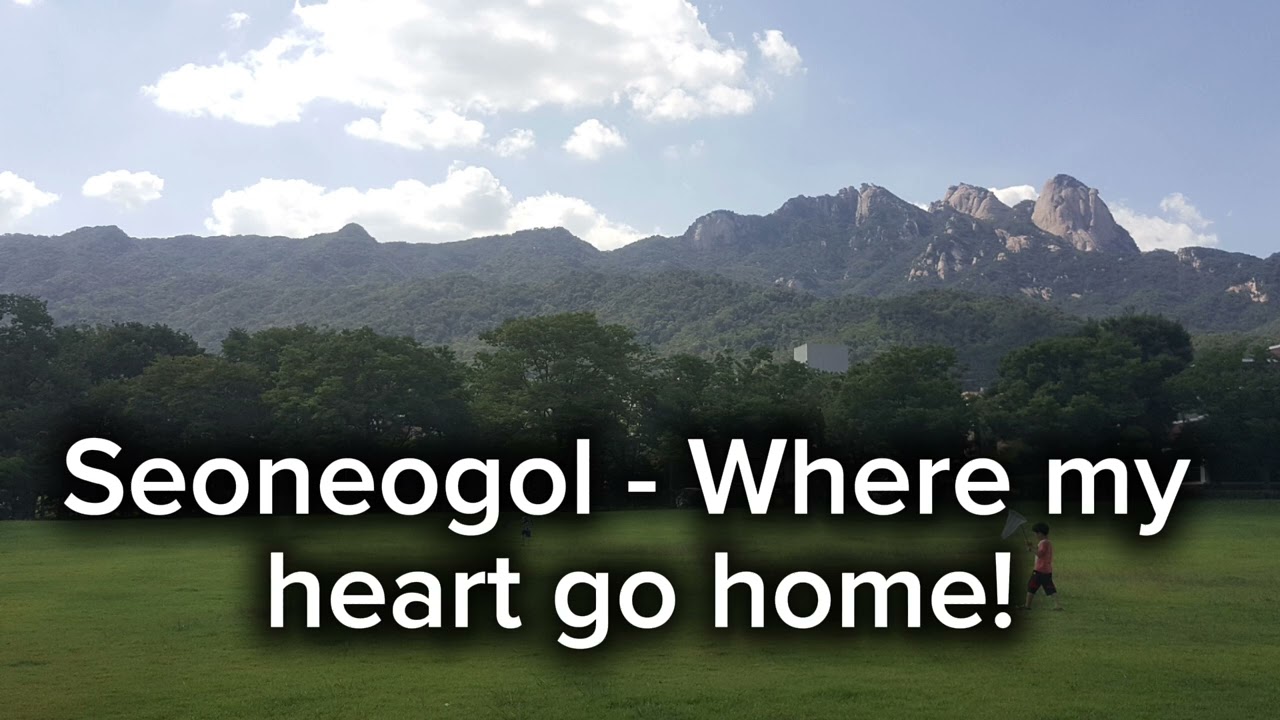 Seoneogol - Where my heart goes home!