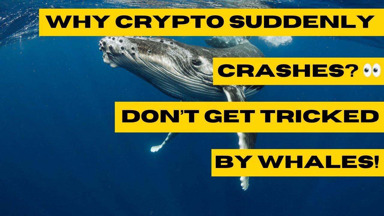 How Crypto Whales Crash the Market 🐋📉 | Bear Raid Explained for Beginners