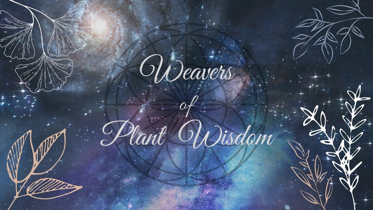 My New Membership Platform is Here!! ~ Introducing Weavers of Plant Wisdom
