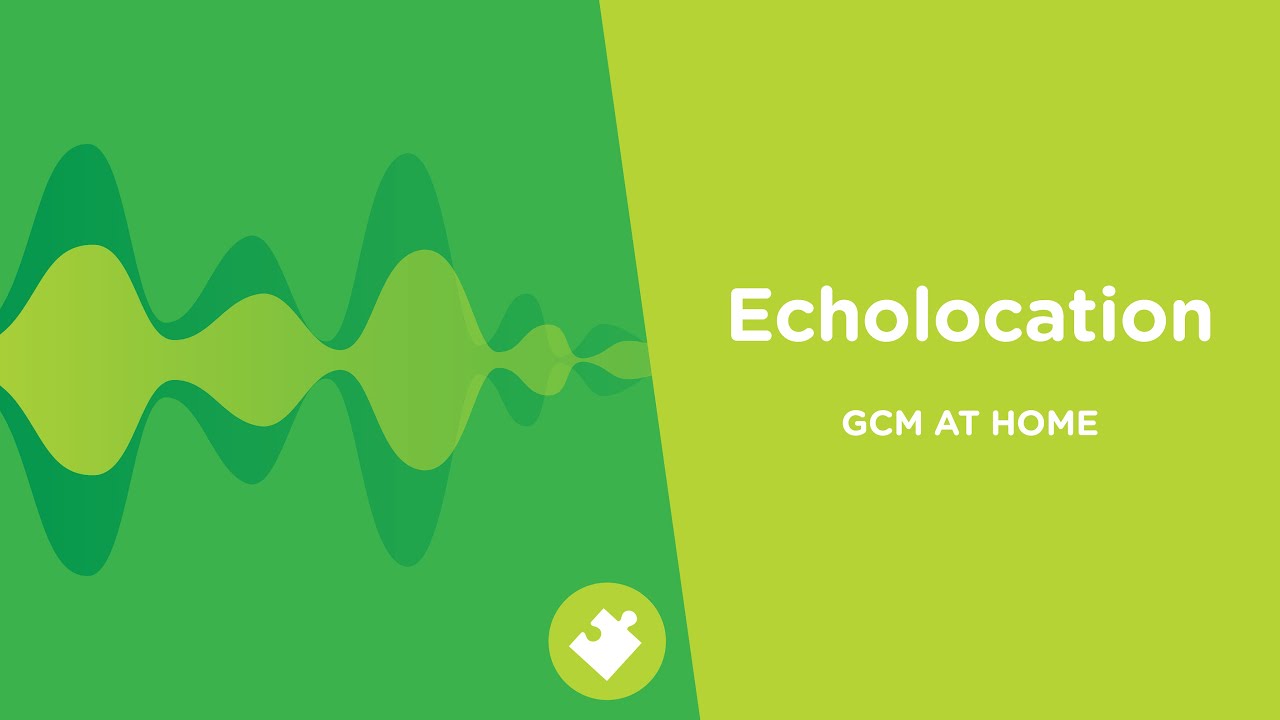 Echolocation