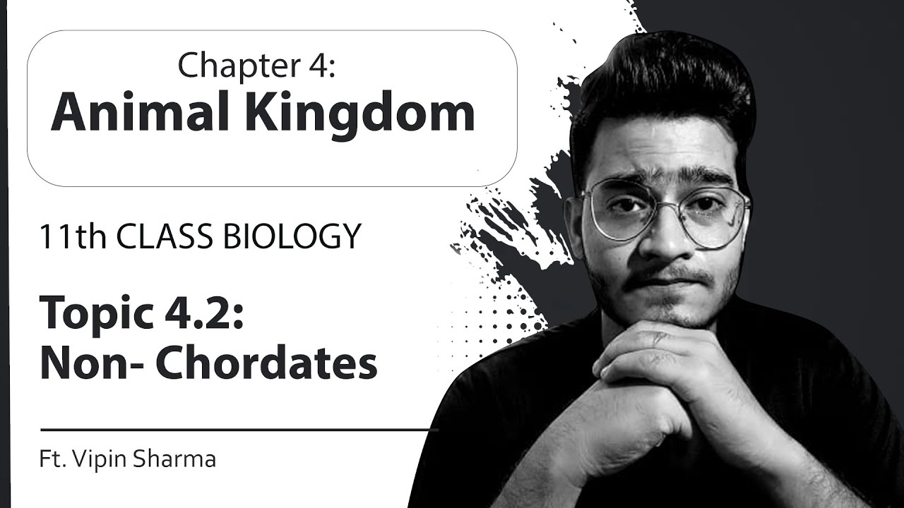 Topic 4.2 Non-Chordates (Porifera to Hemichordata) | Animal Kingdom-11th Class Biology | Notes Given