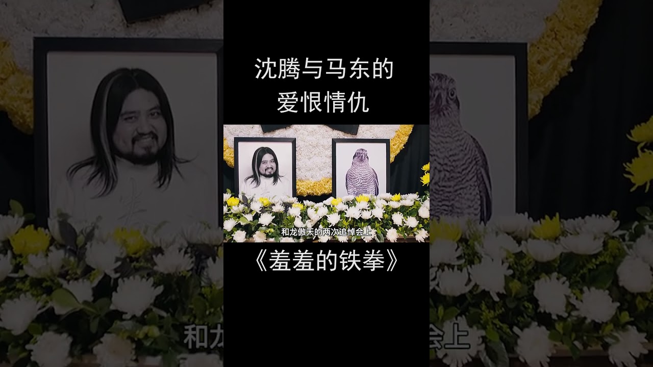 《羞羞的铁拳》细节解析，你真的看懂了吗 #沈腾 #电影解析