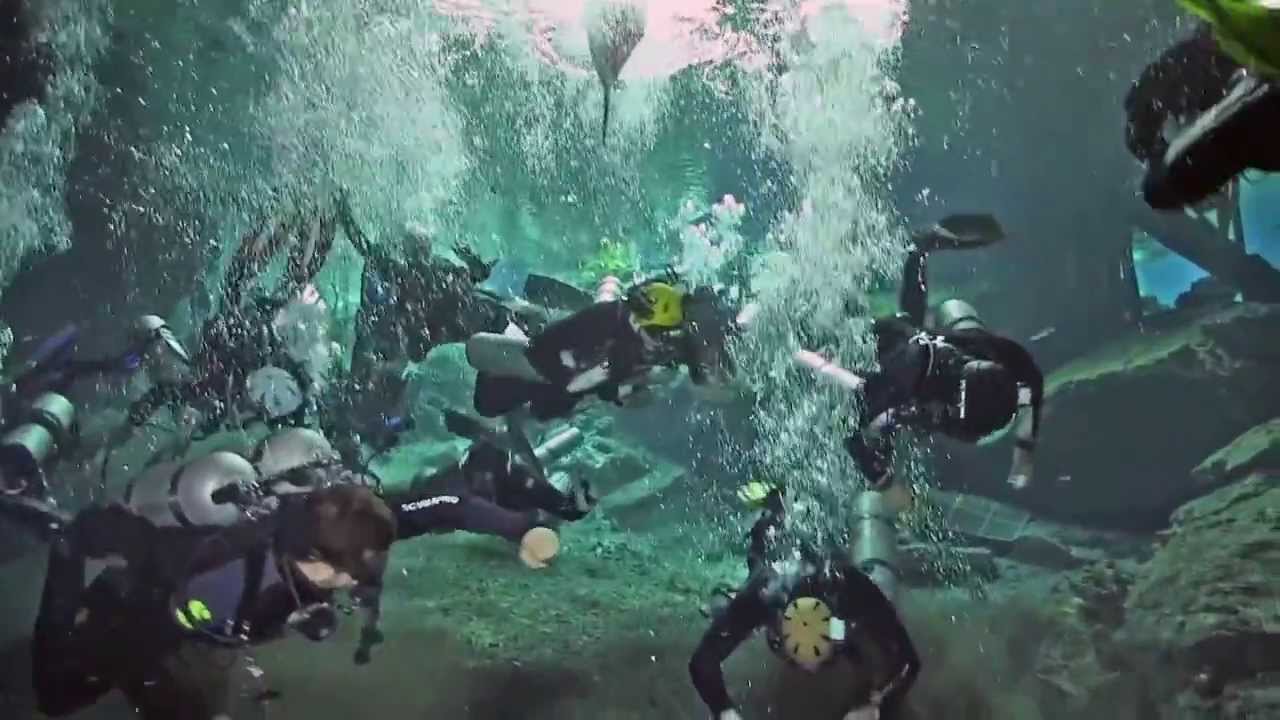 Underwater Harlem Shake