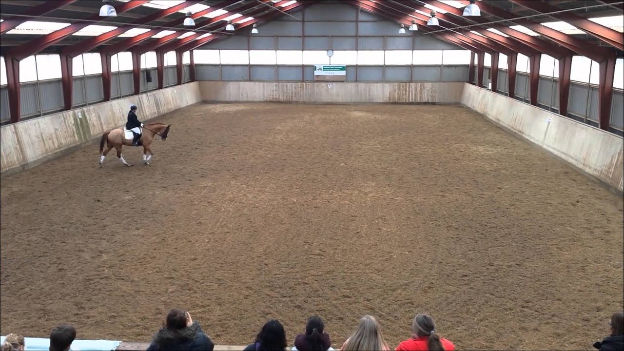 Zafir stævne Debut LC3 72.2% Dressur mesterskab