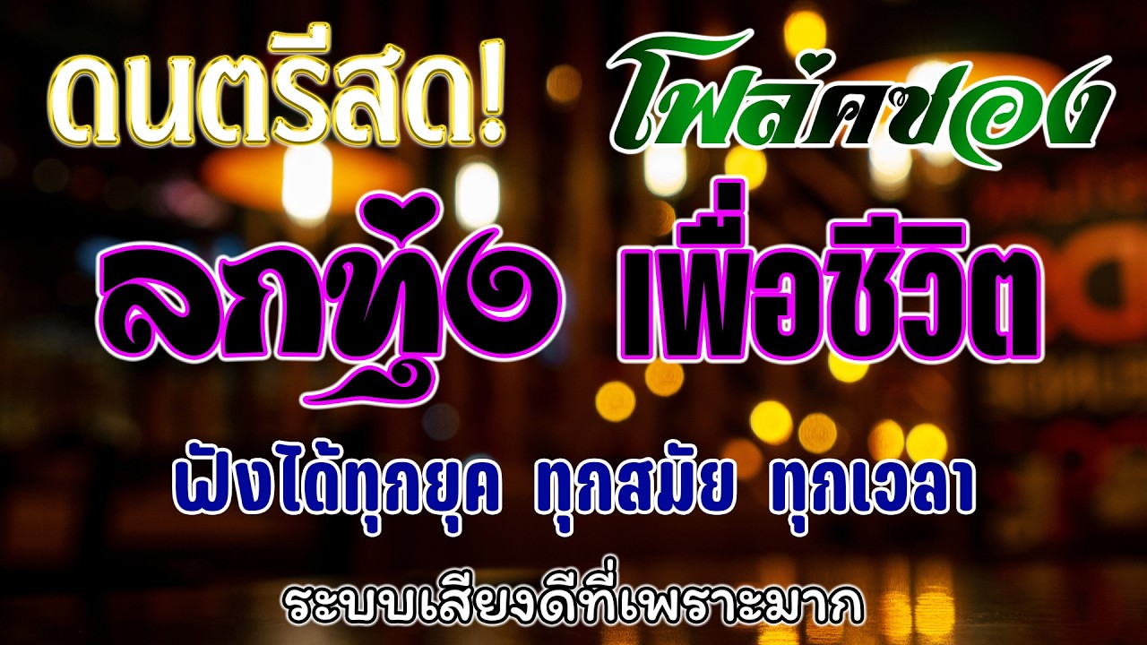เพลงโฟล์คซอง ดนตรีสด เพลงร้านเหล้า ลูกทุ่งเก่าเพราะๆ เปิดฟังชิวๆ เปิดฟังทำงาน เปิดฟังขับรถ