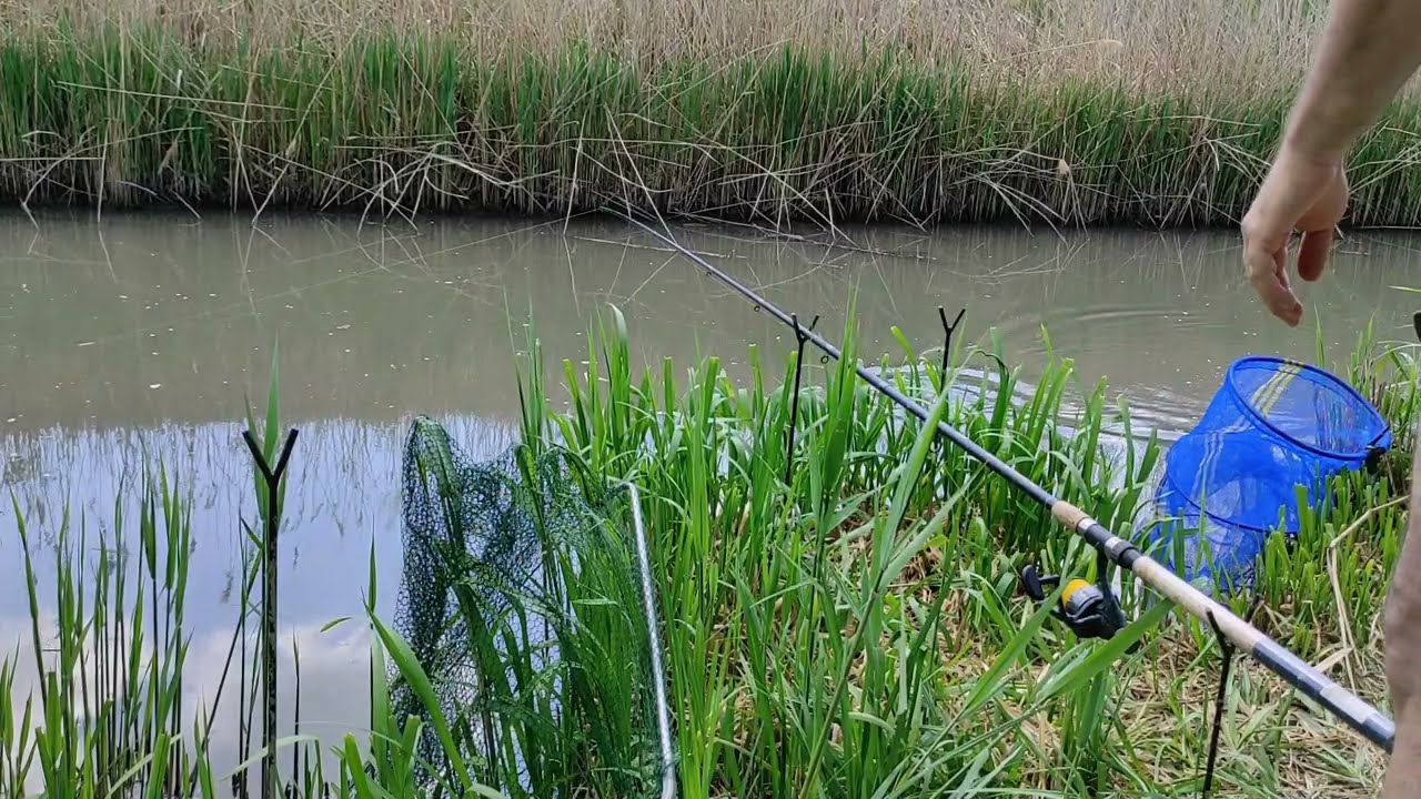 Kadarcs-Karácsonyfoki Kanális Kapásai, Közben Keszeg, Kárász. Kommentárnélkül...:)
